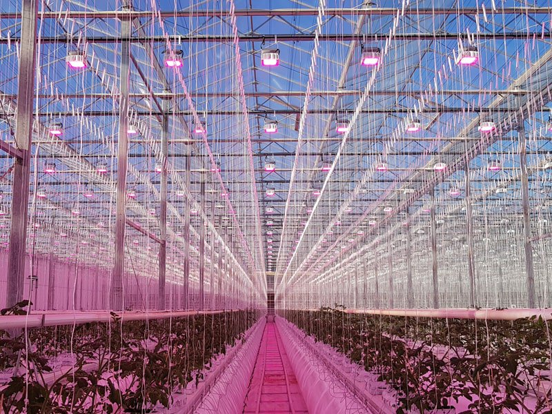 Articles Investment news, VCT and EIS reviews