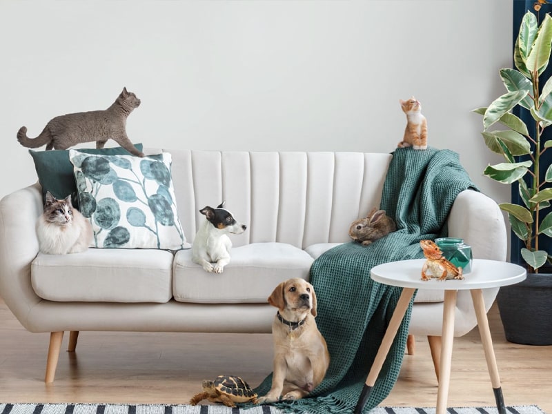 VCTs, EIS and SEIS what are the differences?